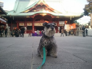 2011 01 11 15.21.06 300x225 築地 寿司大 と 神田明神