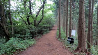 0705 14 400x225 奥高尾縦走レポート （陣馬山～影信山～高尾山） ルートガイド　前編