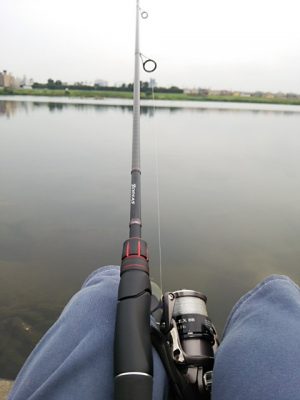 DSC 0019 300x400 釣行記2017 P.6 多摩川 稲田堤 （京王相模原線エリア） バス釣り