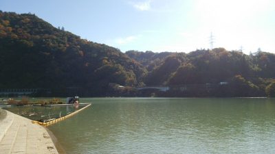 DSC 0235 400x225 釣行記2017 P.20 相模湖公園 バス釣り おかっぱり ドライブシャッドを使ってみた