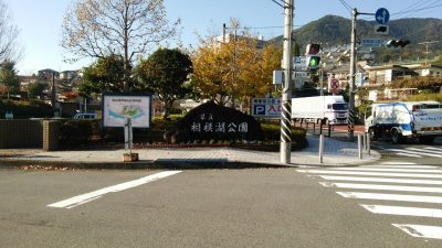 DSC 0240 400x225 釣行記2017 P.20 相模湖公園 バス釣り おかっぱり ドライブシャッドを使ってみた