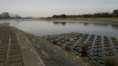 DSC 0241 1 400x225 釣行記2017 P.21 多摩川 稲城大橋「多摩川緑地(2/6)」 府中市 バス釣り おかっぱり