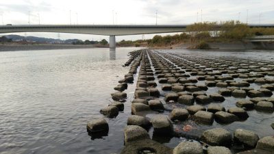 DSC 0253 400x225 釣行記2017 P.22  多摩川 稲城大橋「多摩川緑地(2/6)」 バス釣り アタリあるけど上げられない