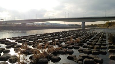 DSC 0280 400x225 釣行記2017 P.24 多摩川 稲城大橋「多摩川緑地(2/6)」 釣り スモールマウスバス