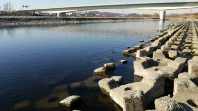 DSC 0015 400x225 釣行記2017 P.26 多摩川 稲城大橋「多摩川緑地(2/6)」 バス釣り ショートバイトはあるが