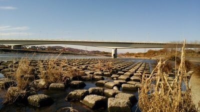 DSC 0278 400x225 釣行記2017 P.25 多摩川 稲城大橋「多摩川緑地(2/6)」 スモールマウスバスが釣りたい