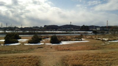 DSC 0054 400x225 多摩川親水公園でバス釣り この場所では初釣り｜釣行記 2018 1月 P.03