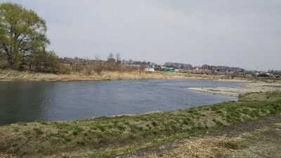 DSC 0003 400x225 羽村取水堰（多摩川）の上流でバス釣りしてみた｜釣行記 2018 3月 P.11