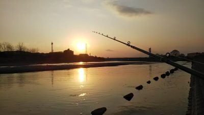 DSC 0045 400x225 性懲りもなくメタルバイブでバスフィッシュ 多摩川 親水公園 ｜釣行記 2018 2月 P.07