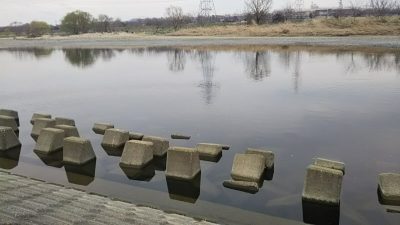 DSC 0077 400x225 多摩川でデカバスを仕留め損ねた｜釣行記 2018 3月 P.10