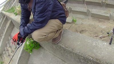 0403 01 400x225 多摩川で爆釣！！引っ切り無しのバイト。 ここはスモールバス牧場ですか？｜釣行記 2018 4月 P.12