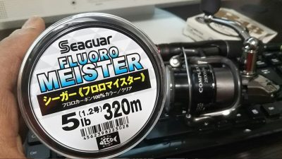 DSC 0015 HORIZON 400x225 シーガー（フロロマイスター）とシャッドテール3.1インチ