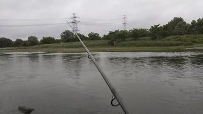 DSC 0010 400x225 バスは気温低下で活性低くし？｜釣行記 2018 5月 P.18