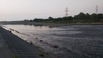 DSC 0064 400x225 楽しくないバス釣りを多摩川でしてきました｜釣行記 2018 5月 P.17
