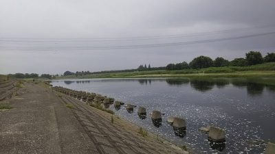 DSC 0001 1 400x225 多摩川で雨の中バス釣りしたら、でっかいニゴイがヒット ｜釣行記 2018 6月 P.27