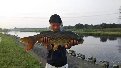 0716 01 400x225 朝まずめに多摩川でバス釣りしてたら巨鯉がヒット｜釣行記 2018 7月 P.31