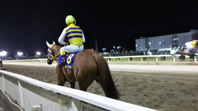 DSC 0034 400x225 川崎競馬場 スパーキングサマーカップ (SⅢ) 2018