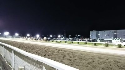 DSC 0046 1 400x225 川崎競馬場 スパーキングサマーカップ (SⅢ) 2018