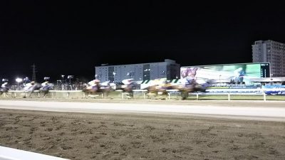 DSC 0047 400x225 川崎競馬場 スパーキングサマーカップ (SⅢ) 2018