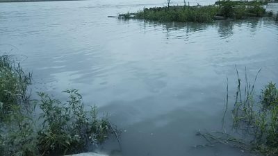 DSC 0056 400x225 台風の影響で多摩川は増水。｜釣行記 2018 7月 P.33