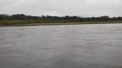 DSC 0059 400x225 台風の影響で多摩川は増水。｜釣行記 2018 7月 P.33