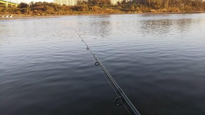 DSC 0004 400x225 朝まずめの多摩川でバス釣り。小バス1匹ヒット｜釣行記 2018 10月 P.45