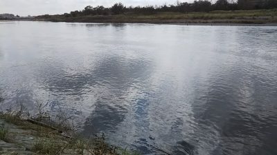 DSC 0115 400x225 多摩川 バス釣り ブレディ縛り｜釣行記 2018 10月 P.41