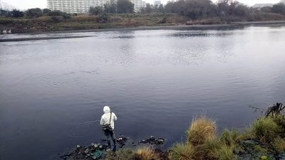 DSC 0013 400x225 雨の中、カッパ着て多摩川でバス釣り ボイル撃ち！｜釣行記 2018 11月 P.46