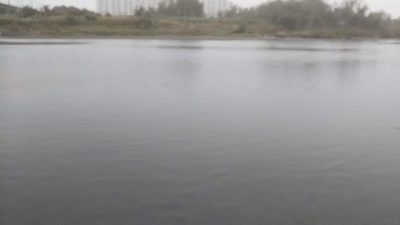 DSC 0015 400x225 雨の中、カッパ着て多摩川でバス釣り ボイル撃ち！｜釣行記 2018 11月 P.46