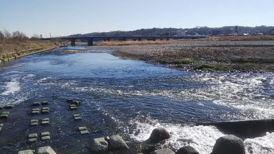 DSC 0058 400x225 多摩川の関戸橋と石田橋でバス釣り｜釣行記2019 1月 P.02