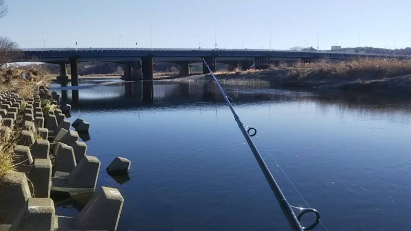 多摩川の関戸橋と石田橋でバス釣り 釣行記19 1月 P 02 Hcz Blog