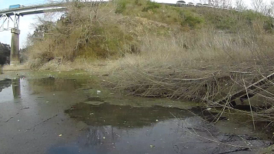 003 400x225 バス釣り遠征 宮崎県 野尻湖（岩瀬ダム湖） おかっぱり｜釣行記2019 2月 P.06