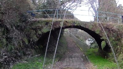 005 400x225 バス釣り遠征 宮崎県 野尻湖（岩瀬ダム湖） おかっぱり｜釣行記2019 2月 P.06