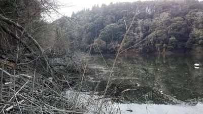 DSC 0090 400x225 バス釣り遠征 宮崎県 野尻湖（岩瀬ダム湖） おかっぱり｜釣行記2019 2月 P.06