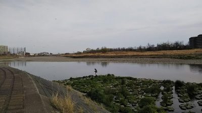 DSC 0140 400x225 前日と同じポイントで今日も釣れるかな？同じリグで【多摩川バス釣り 】｜釣行記2019 3月 P.10