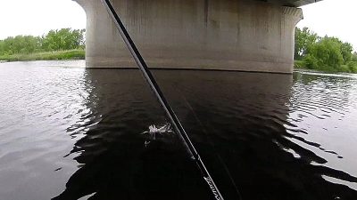 0514 01 400x225 橋の真下で、2投目にヒットした多摩川バス釣り。｜釣行記2019 5月 P.16