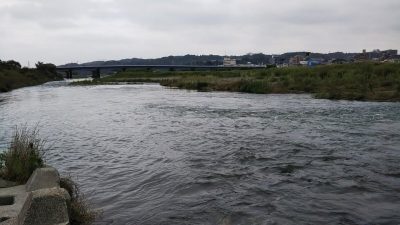 DSC 0005 400x225 【多摩川 バス釣り】梅雨の副産物を探しにランガン｜釣行記2019 7月 P.25