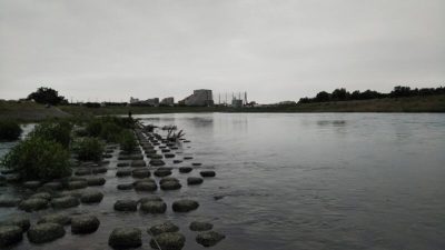 DSC 0013 400x225 【多摩川 バス釣り】梅雨の副産物を探しにランガン｜釣行記2019 7月 P.25