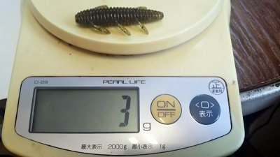 DSC 0120 400x225 沈み蟲（シズミムシ）イモ虫ワーム　果たして多摩川バスでも食ってくるか？