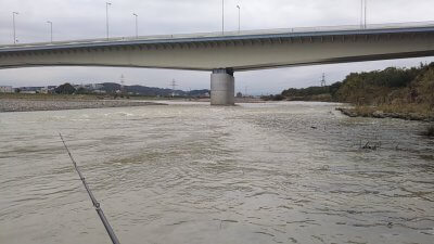 1021 01 400x225 【多摩川 バス釣り】台風19号（ハギビス）後は激濁り HPバグの実釣｜釣行記2019 10月 P.35