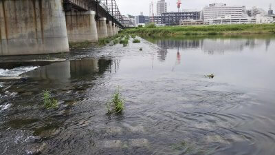 DSC 0002 1 400x225 【多摩川 バス釣り】台風後に多摩川が消滅した！？2019（秋）ここのポイントは完全に終わった。| 釣行記2019 11月 P.38