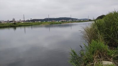 DSC 0003 1 400x225 【多摩川 バス釣り】台風後に多摩川が消滅した！？2019（秋）ここのポイントは完全に終わった。| 釣行記2019 11月 P.38