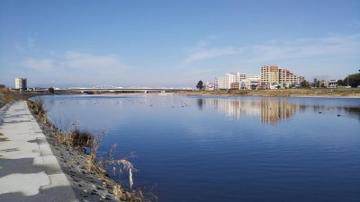 DSC 0003 400x225 【多摩川 バス釣り】いつものポイントは台風後に激変の2019（秋）｜釣行記2019 11月 P.37