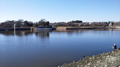 DSC 0079 400x225 【バス釣り 静岡県 野池】沼津の門池・三日月湖 昼食は沼津港でお寿司｜釣行記2020 1月 P.02