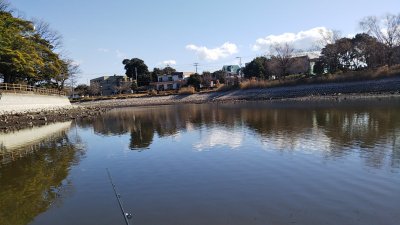 DSC 0080 400x225 【バス釣り 静岡県 野池】沼津の門池・三日月湖 昼食は沼津港でお寿司｜釣行記2020 1月 P.02