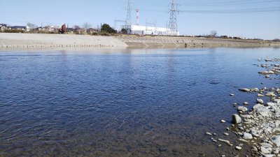 DSC 0074 400x225 【バス釣り 多摩川】長靴だったら良かったのにと後悔｜釣行記2020 3月 P.03