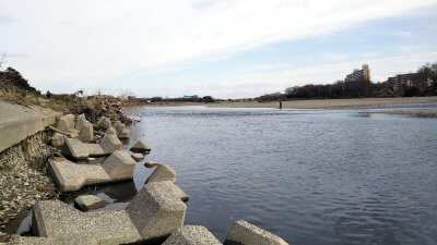 DSC 0091 400x225 【バス釣り 多摩川】初めてのポイントだけど強風でバックラばかり｜釣行記2020 3月 P.04