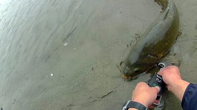 0526 05 400x225 2020年  バス釣り年間釣果記録　釣れ率 36％（ボウズ率 64%)