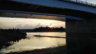 DSC 0158 400x225 【多摩川 バス釣り】夕まずめ 最後の1投でデカいのが出ました｜釣行記2020 6月 P.11