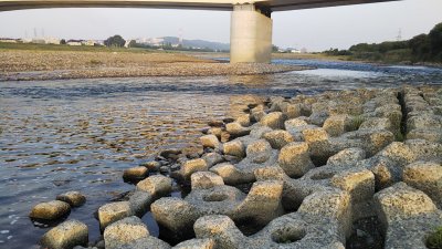 DSC 0232 400x225 【多摩川 バス釣り】何かとうんちくを語るおっさんってウザイ？｜釣行記2020 6月 P.10